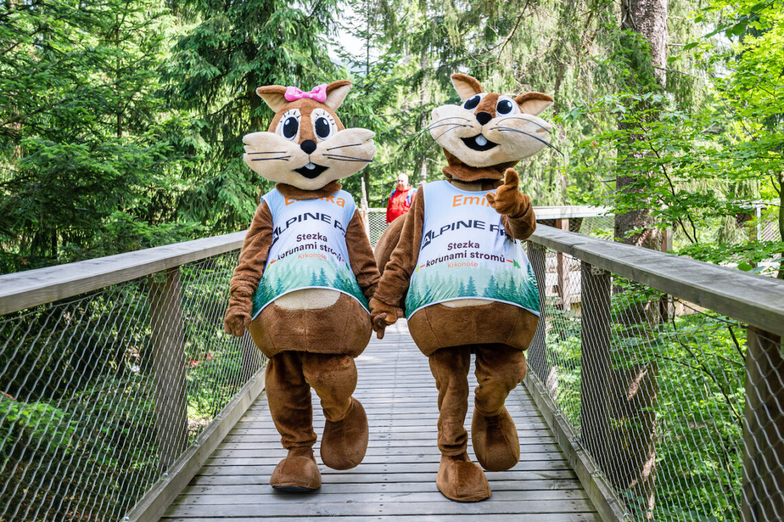 Majówka 2026 w koronach drzew. W Karkonoszach można spacerować ponad lasem