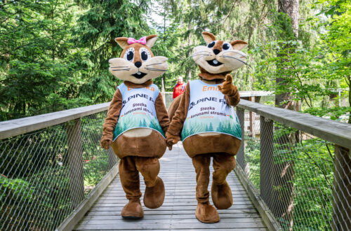 Majówka 2026 w koronach drzew. W Karkonoszach można spacerować ponad lasem